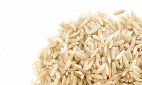 GM rýže v centru zájmu šlechtitelů