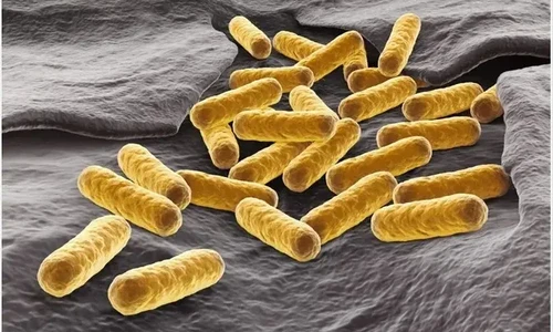 Je využití E. coli v molekulární biologii a proteinovém inženýrství již minulostí?