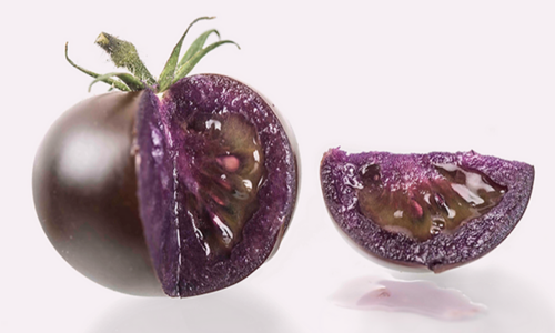 Semena fialových rajčat se objevila na britském trhu