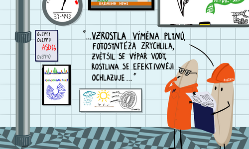 Nová položka v NBT knihovně – Rýže odolávající změnám klimatu