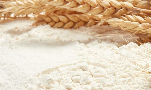 Brazílie schvaluje pšenici HB4® tolerantní vůči suchu